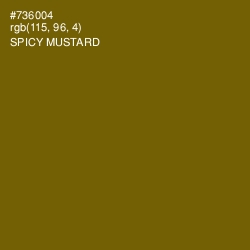 #736004 - Spicy Mustard Color Image