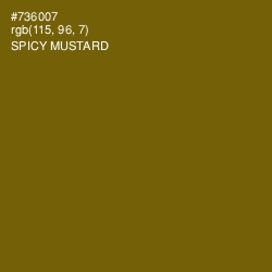 #736007 - Spicy Mustard Color Image