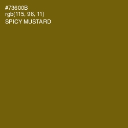 #73600B - Spicy Mustard Color Image