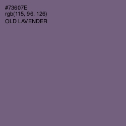 #73607E - Old Lavender Color Image