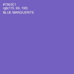 #7360C1 - Blue Marguerite Color Image