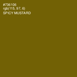 #736106 - Spicy Mustard Color Image