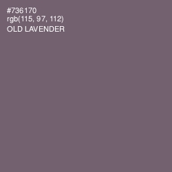 #736170 - Old Lavender Color Image