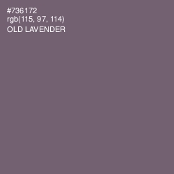 #736172 - Old Lavender Color Image