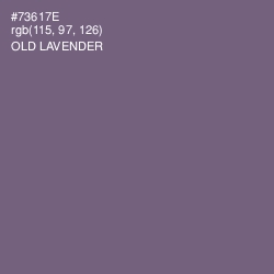 #73617E - Old Lavender Color Image