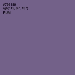 #736189 - Rum Color Image