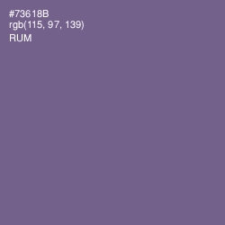 #73618B - Rum Color Image