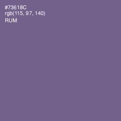 #73618C - Rum Color Image