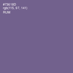 #73618D - Rum Color Image