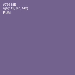 #73618E - Rum Color Image