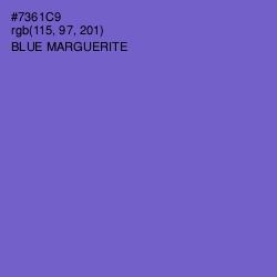 #7361C9 - Blue Marguerite Color Image