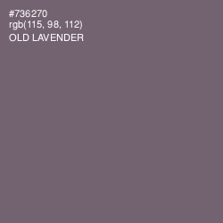 #736270 - Old Lavender Color Image