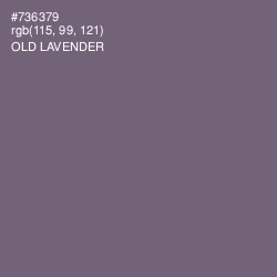 #736379 - Old Lavender Color Image
