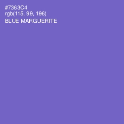 #7363C4 - Blue Marguerite Color Image