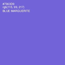 #7363D9 - Blue Marguerite Color Image