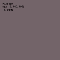 #736469 - Falcon Color Image