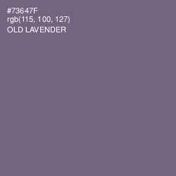 #73647F - Old Lavender Color Image