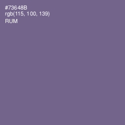 #73648B - Rum Color Image