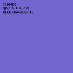 #7364D0 - Blue Marguerite Color Image