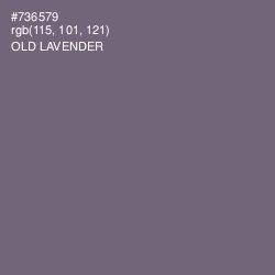 #736579 - Old Lavender Color Image