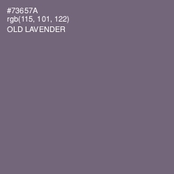 #73657A - Old Lavender Color Image