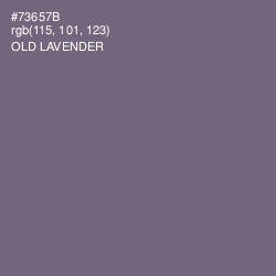 #73657B - Old Lavender Color Image