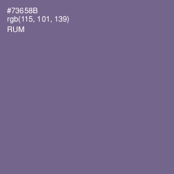 #73658B - Rum Color Image