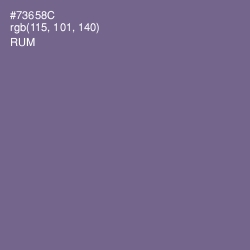#73658C - Rum Color Image