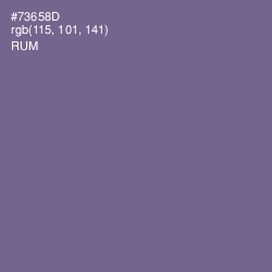 #73658D - Rum Color Image