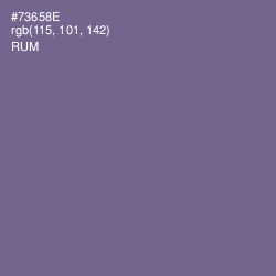 #73658E - Rum Color Image