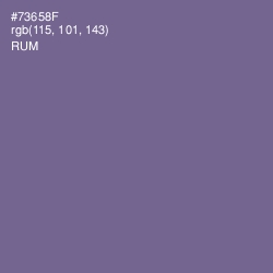 #73658F - Rum Color Image