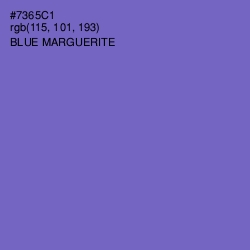 #7365C1 - Blue Marguerite Color Image