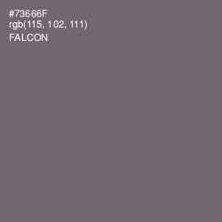 #73666F - Falcon Color Image