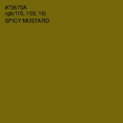 #73670A - Spicy Mustard Color Image