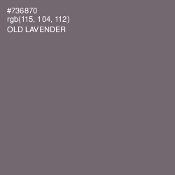#736870 - Old Lavender Color Image