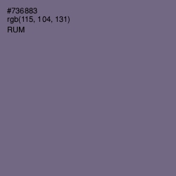 #736883 - Rum Color Image