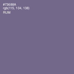 #73688A - Rum Color Image