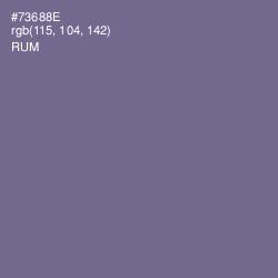 #73688E - Rum Color Image