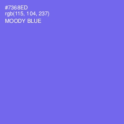 #7368ED - Moody Blue Color Image