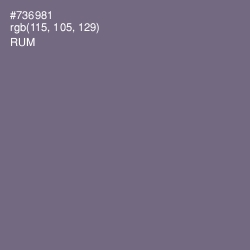 #736981 - Rum Color Image