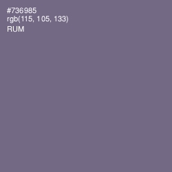 #736985 - Rum Color Image