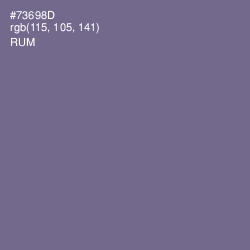 #73698D - Rum Color Image