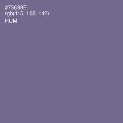 #73698E - Rum Color Image