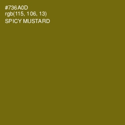 #736A0D - Spicy Mustard Color Image