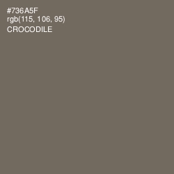 #736A5F - Crocodile Color Image