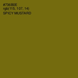 #736B0E - Spicy Mustard Color Image