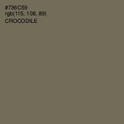 #736C59 - Crocodile Color Image