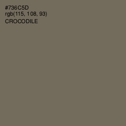 #736C5D - Crocodile Color Image