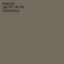 #736C5E - Crocodile Color Image