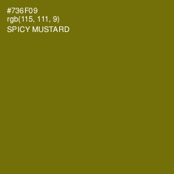 #736F09 - Spicy Mustard Color Image